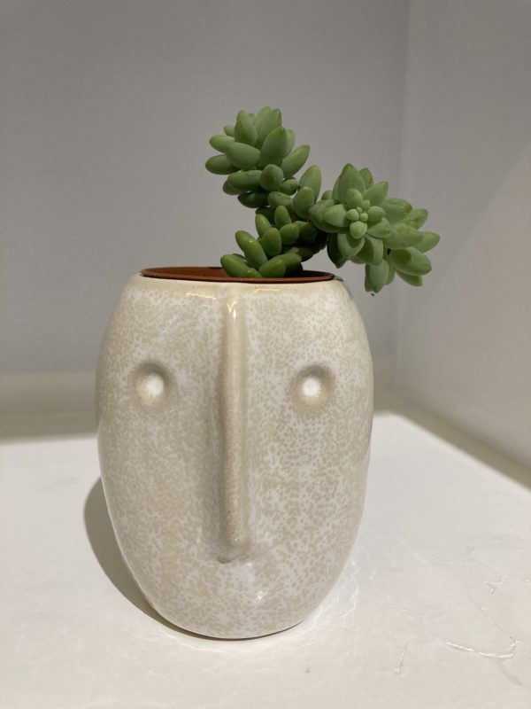 cache pot visage blanc oeili vegetal lyon