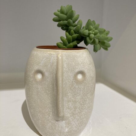 cache pot visage blanc oeili vegetal lyon